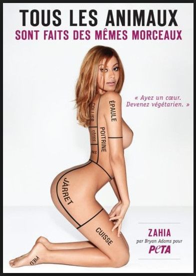 zahia la pute grosse salope sur bazoocam zahia la pute grosse salope sur bazoocam
